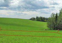 Вынос границ земельного участка в натуру: как происходит этот процесс