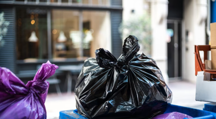 Мусорные отходы: типы и классификация