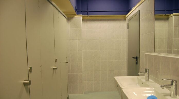 Виды сантехнических перегородок