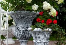 Как выбрать вазы и горшки для цветов?