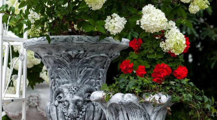 Как выбрать вазы и горшки для цветов?