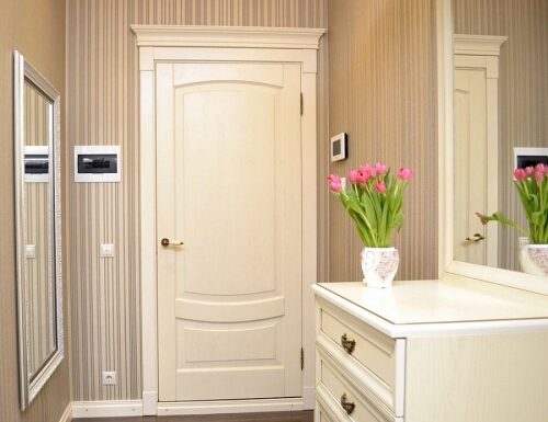 Почему стоит выбрать стеклопластиковые двери