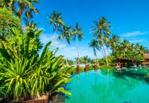 Мальдивы и красота: что можно увидеть freepik