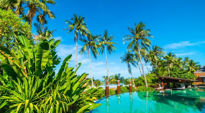 Мальдивы и красота: что можно увидеть freepik