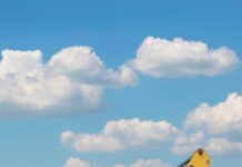 Увеличьте производительность спецтехники с навесным оборудованием