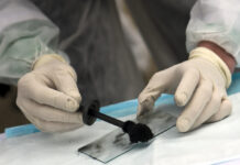 Судебная биологическая экспертиза