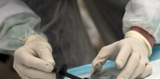 Судебная биологическая экспертиза