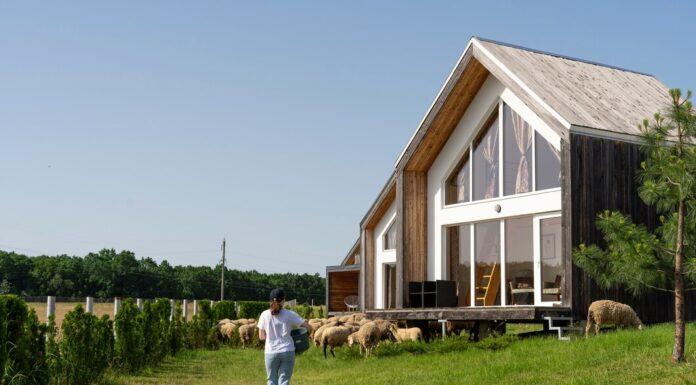 Создание уютного загородного дома: идеи и советы