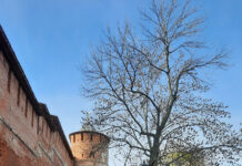 Малые архитектурные формы из бетона: что это такое и где их применяют