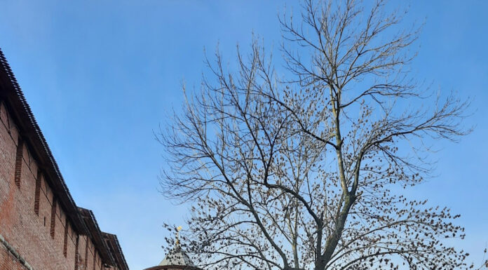 Малые архитектурные формы из бетона: что это такое и где их применяют