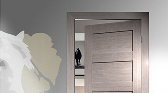 Разнообразие межкомнатных дверей: глухие, стеклянные, царговые и другие