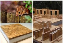 Мыши против домов из СИП панелей