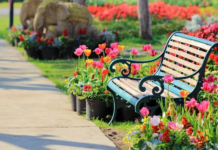 Скамейки в парке — отличный способ украсить территорию