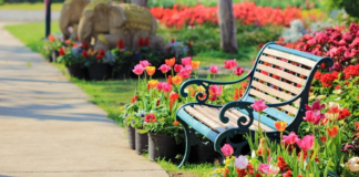 Скамейки в парке — отличный способ украсить территорию