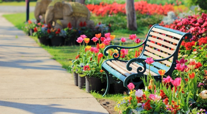 Скамейки в парке — отличный способ украсить территорию