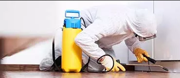 Борьба со Всеми Видами Вредителей от Марафет