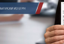 Зачем нужна выписка из ЕГРН и где ее получают