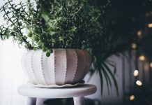 Горшки для цветов: выбор, уход и стильное оформление