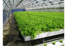 Гидропонные системы полива растений