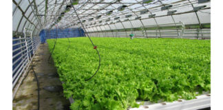 Гидропонные системы полива растений