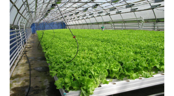 Гидропонные системы полива растений