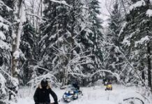 Как выбрать гусеницу к снегоходу?