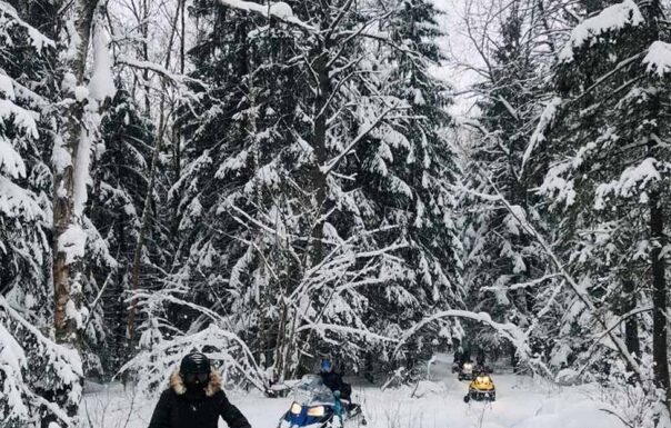 Как выбрать гусеницу к снегоходу?