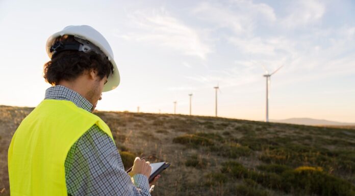 Экологические изыскания: Важность и Основные Этапы