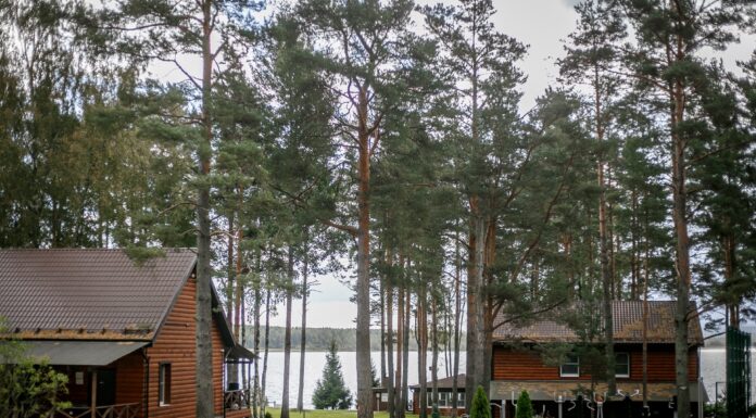 Где лучше жить – в доме или квартире